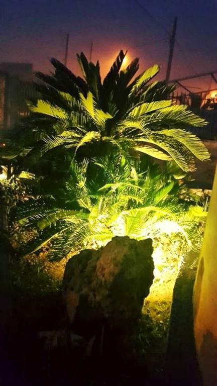 Lo Specchio Del Salento Bed & Breakfast Lecce Rom bilde